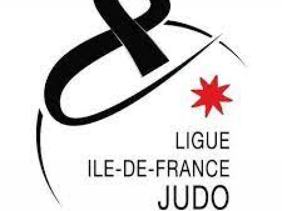 Offre D Emploi Sport Responsable Adjoint Du Pole Formation Coordinateur Pedagogique Ligue Idf Judo Recrutement Et Offres D Emploi Sport Cvsportsjob